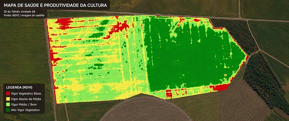 Mapa NDVI de saúde e produtividade do cultivo — cliente Techduto