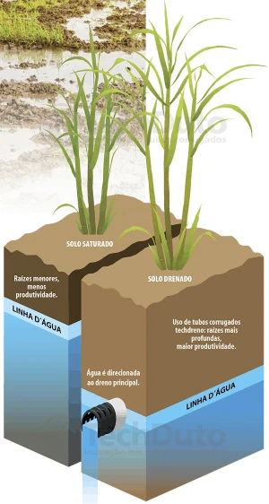 Esquema del beneficio del drenaje agrícola