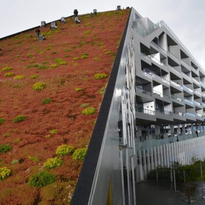 Green roofs and the importance of drainage