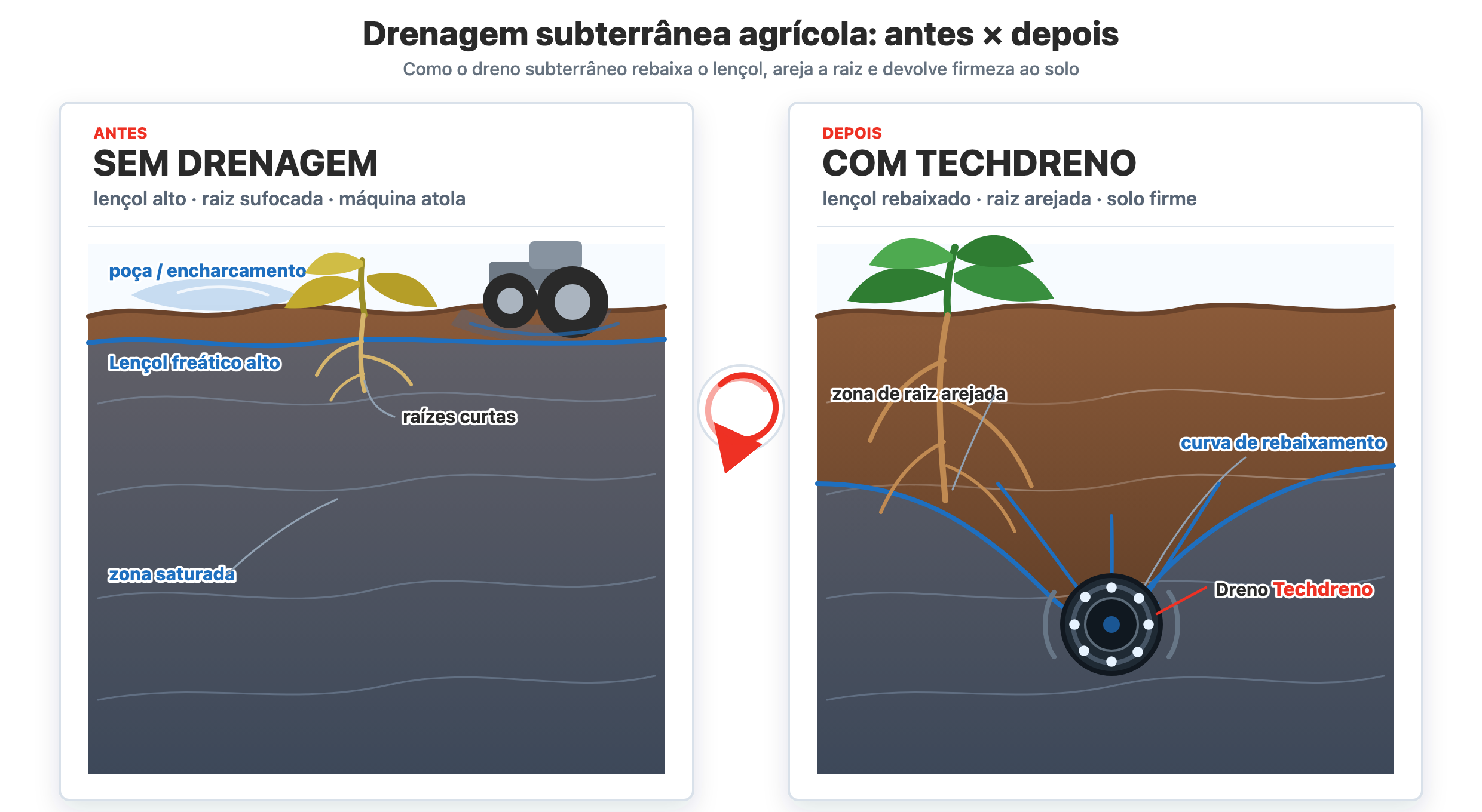 Esquema antes e depois: sem drenagem o lençol freático fica alto e a raiz sufoca; com o Techdreno o lençol é rebaixado e a raiz fica arejada