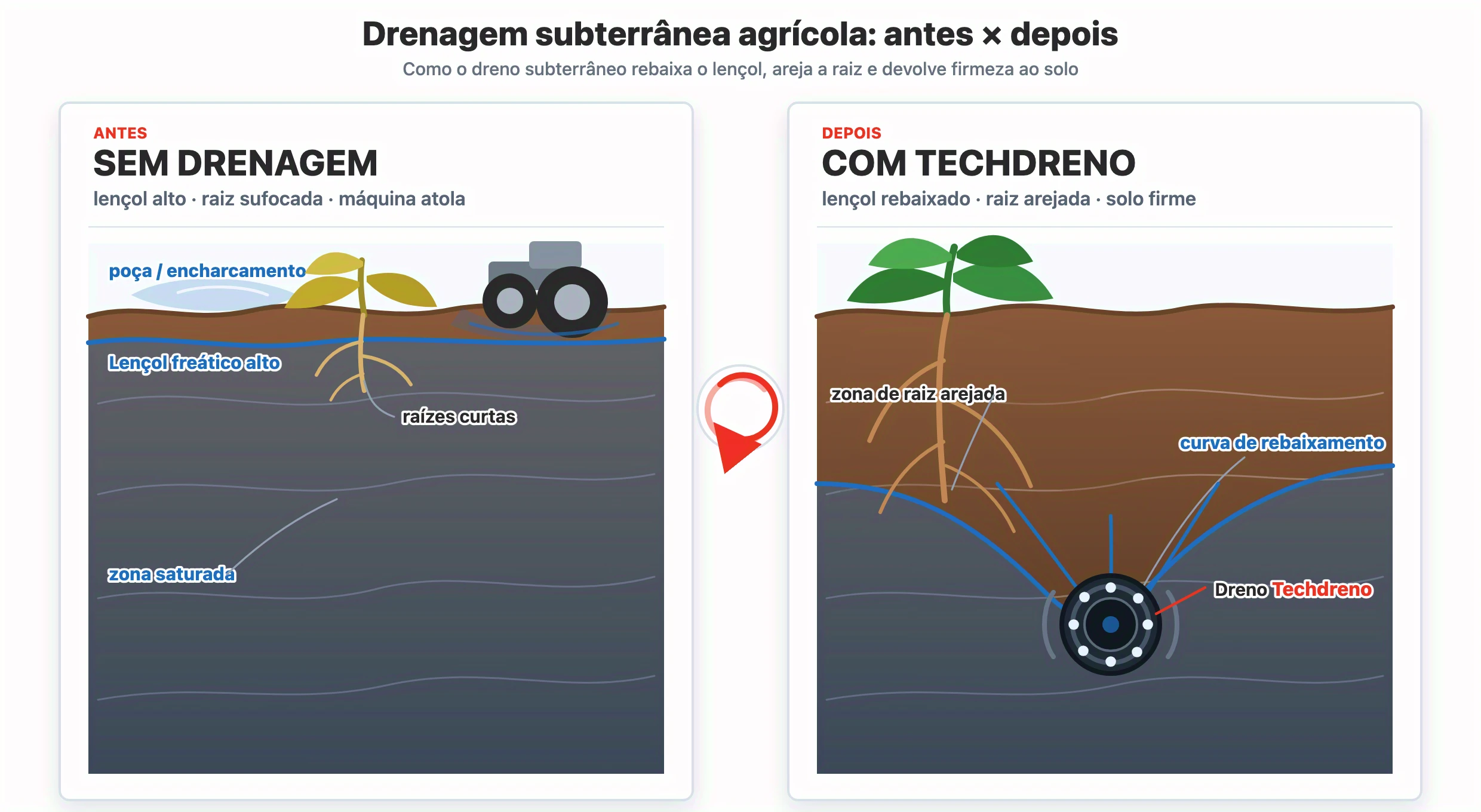 Before and after diagram: without drainage, the water table remains high and the roots suffocate; with Techdreno, the water table is lowered and the roots are aerated