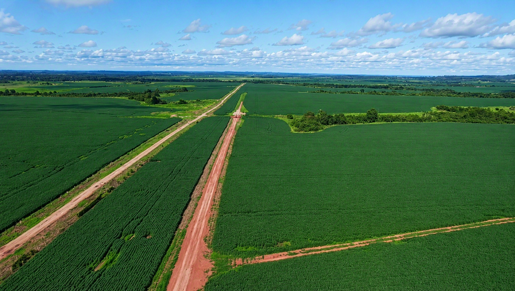 Grupo Terra Grande