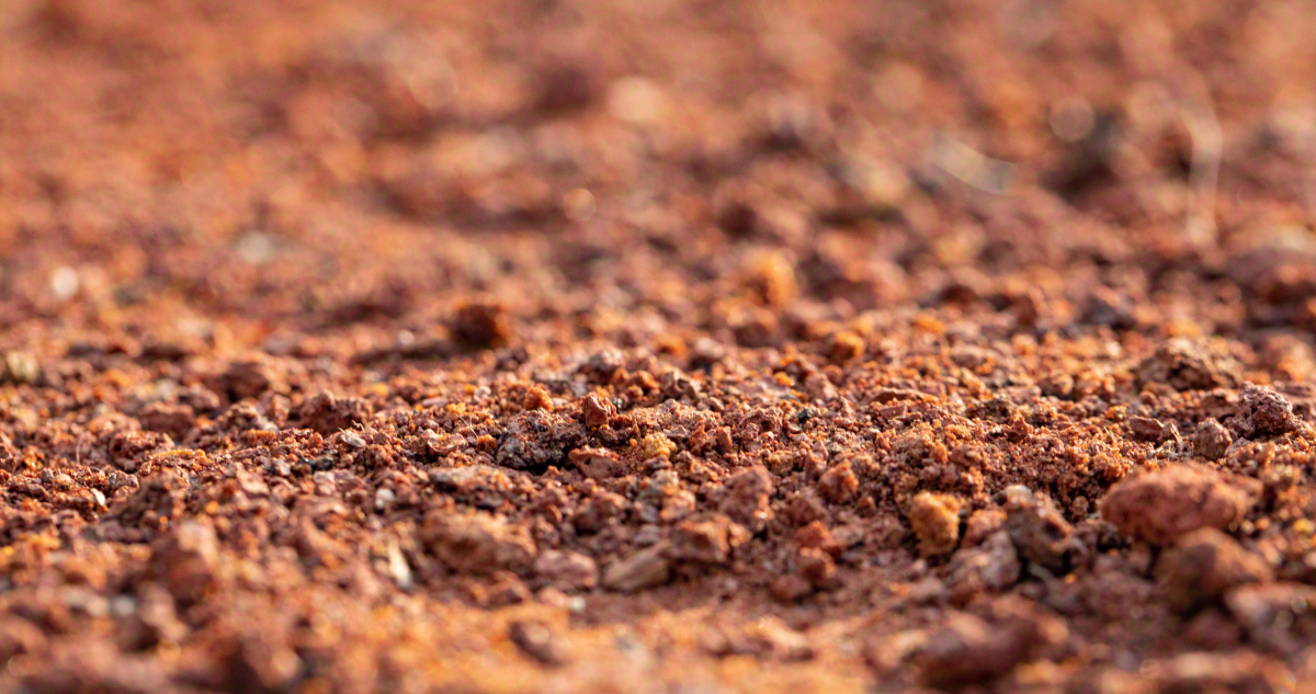 Close-up de solo argiloso e avermelhado com textura irregular e torrões de terra.